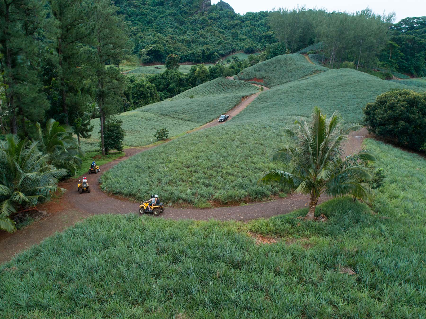 Quad Moorea Pineapple Hotel Cooks Bay V2